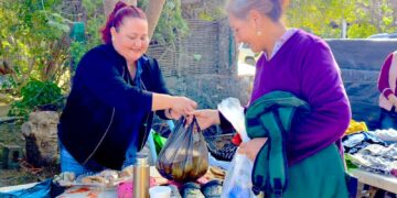 Servicios Amigables de INJUVE, un espacio diseñado para el bienestar integral de las juventudes de Los Cabos