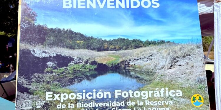 Gobierno Municipal efectúa la 2° edición de la Feria Fotográfica en la subdelegación de Boca de la Sierra