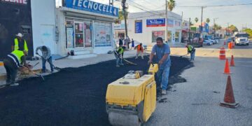 Cuadrillas de “Caza Baches” rehabilitan vialidades en San José del Cabo y Santiago