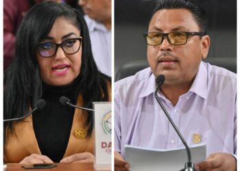 Impulsan Ley para la Atención, Protección e Inclusión de las Personas con Trastorno del Espectro Autista en BCS