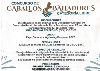 Invitan a concursos ecuestres y de destreza en la Expo Ganadera 2026 de San José del Cabo