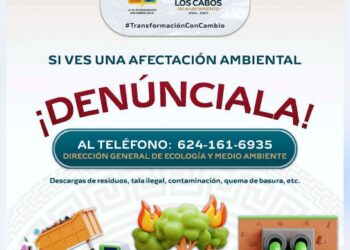 Autoridades municipales exhortan a la ciudadanía a denunciar afectaciones ambientales y reforzar vigilancia 