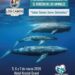 Se efectuará en San José del Cabo el V Congreso Internacional por el Derecho de los Animales