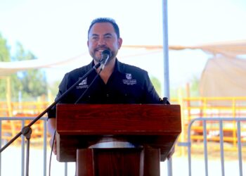 Entrega Ayuntamiento de Los Cabos 115 sementales bovinos; apoyan ganadería local