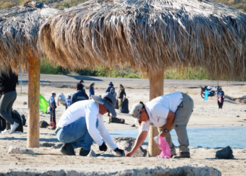 Recolectan 62 kilogramos de residuos en Macro Limpieza en playa El Sonorense