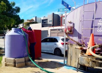 Plantan 300 árboles y fortalecen el riego con agua tratada en parques de La Paz