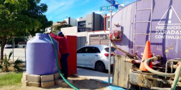 Plantan 300 árboles y fortalecen el riego con agua tratada en parques de La Paz