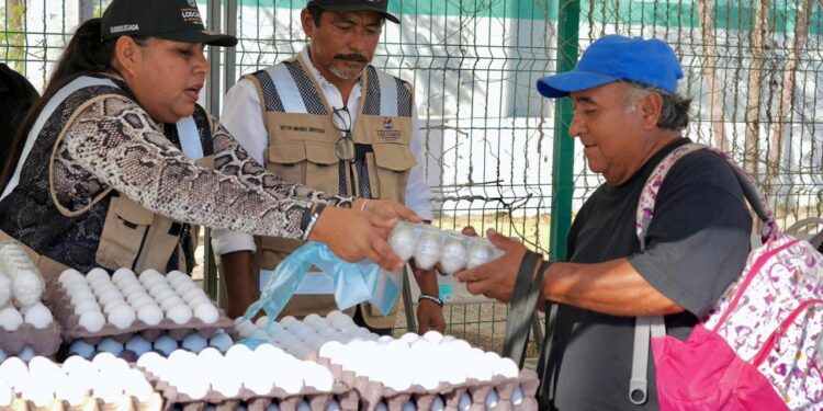 Jornada social en colonia Leonardo Gastelum beneficia a 246 familias en Cabo San Lucas