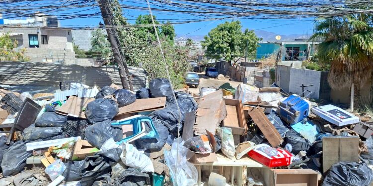 Continuan jornadas de limpieza y descacharrización en colonias de Cabo San Lucas