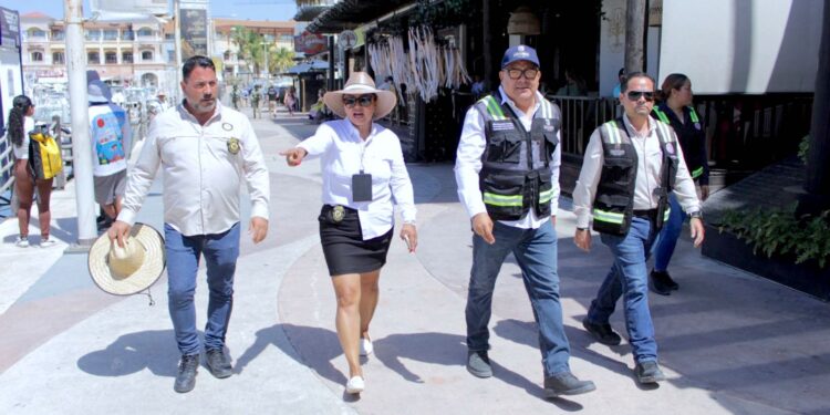 Retiran 16 módulos irregulares en la Marina de Cabo San Lucas 