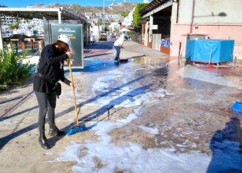 Autoridades municipales y personal del sector turístico realizan jornada de limpieza en La Marina de Cabo San Lucas