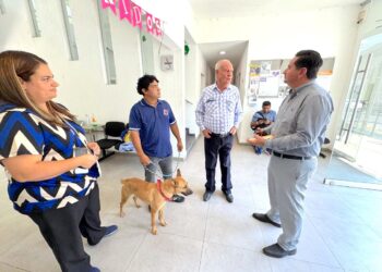 Refuerza Los Cabos procesos operativos rumbo a la apertura del Centro de Atención y Bienestar Animal