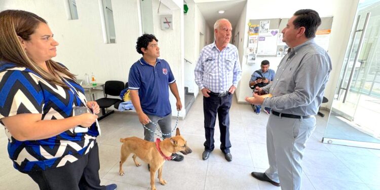 Refuerza Los Cabos procesos operativos rumbo a la apertura del Centro de Atención y Bienestar Animal