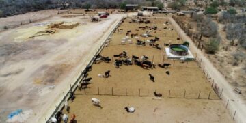 SEPADA impulsa acciones para fortalecer al sector primario en Los Cabos