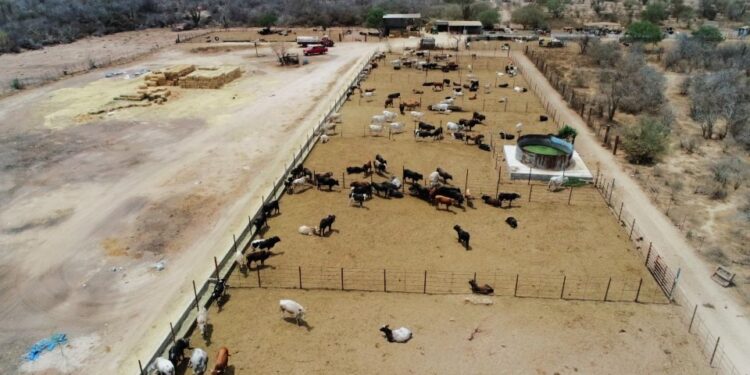 SEPADA impulsa acciones para fortalecer al sector primario en Los Cabos