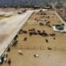 SEPADA impulsa acciones para fortalecer al sector primario en Los Cabos