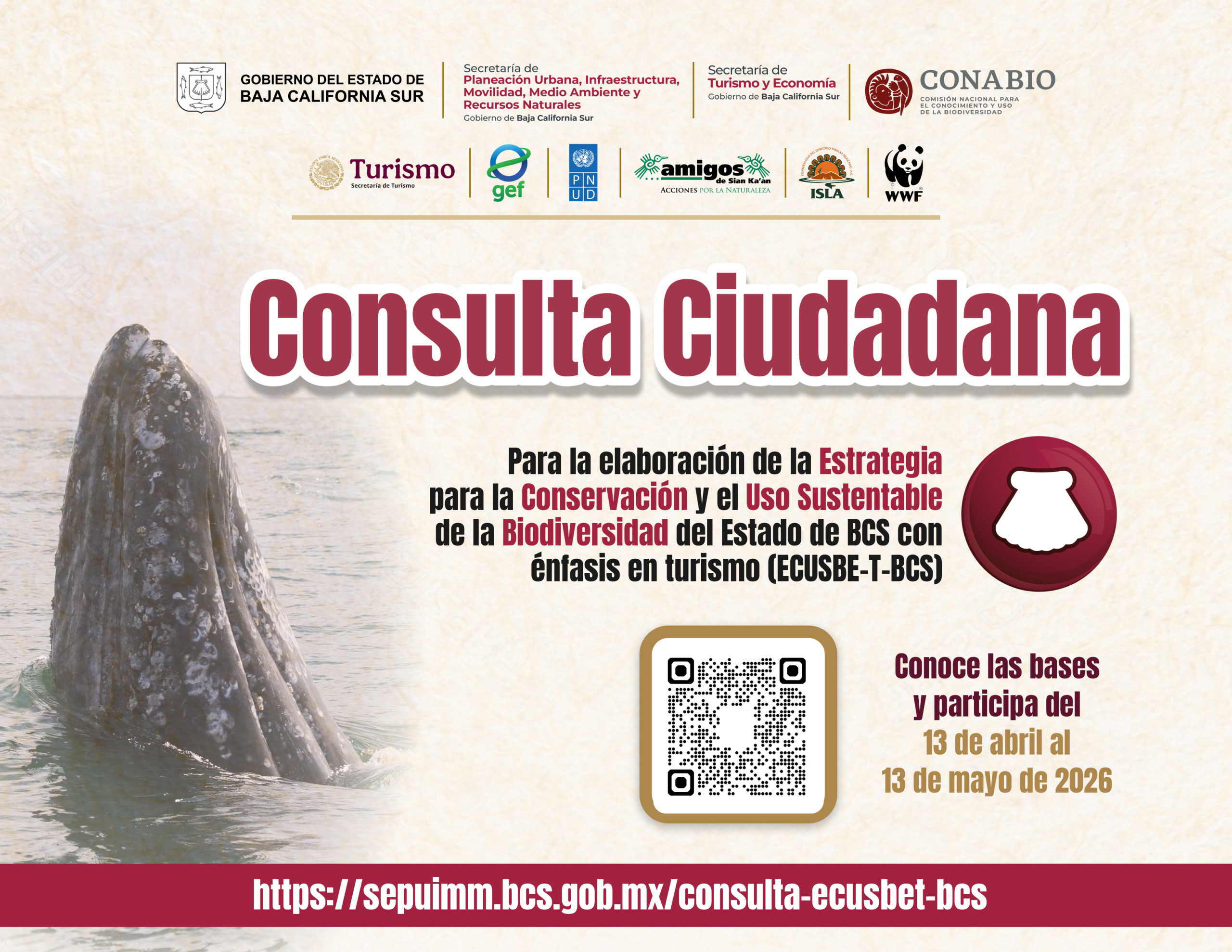Gobierno de BCS convoca a consulta ciudadana para definir estrategia de conservación de la biodiversidad
