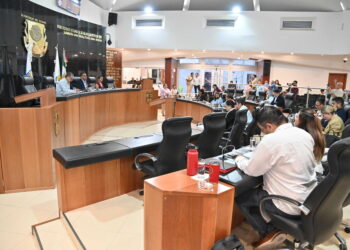 Aprueban remitir iniciativa al Congreso de la Unión para incorporar a la Ley General de Salud la atención integral de la epilepsia 