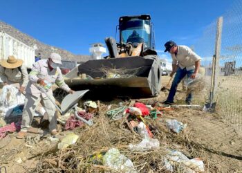 Servicios Públicos de Los Cabos inicia programa permanente de descacharrización 