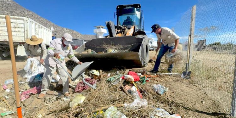 Servicios Públicos de Los Cabos inicia programa permanente de descacharrización 