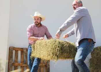 Beneficia alcalde de Los Cabos Christian Agúndez a 150 productores agrícolas y ganaderos con entrega de alfalfa y alimento concentrado