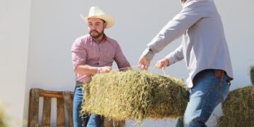 Beneficia alcalde de Los Cabos Christian Agúndez a 150 productores agrícolas y ganaderos con entrega de alfalfa y alimento concentrado