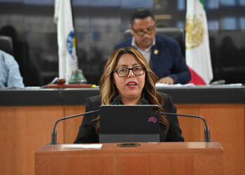 Mecanismos de flexibilidad laboral para madres y padres trabajadores del servicio público: Diputada Teresita Valentín