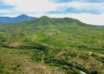 Milena Quiroga cierra la puerta a cualquier construcción en Sierra de la Laguna: “No se toca, se cuida y se protege” 