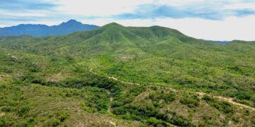 Milena Quiroga cierra la puerta a cualquier construcción en Sierra de la Laguna: “No se toca, se cuida y se protege” 