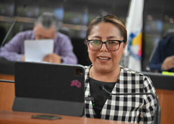Propone diputada Teresita Valentín tipificar y castigar el abuso de custodia tecnológica e invasión a la intimidad digital