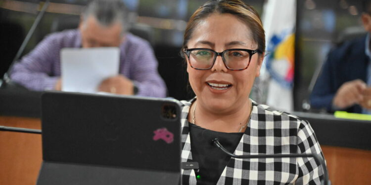 Propone diputada Teresita Valentín tipificar y castigar el abuso de custodia tecnológica e invasión a la intimidad digital