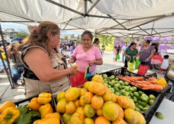 Apoyos alimentarios llegan a familias de Mesa Colorada 3 en Cabo San Lucas 
