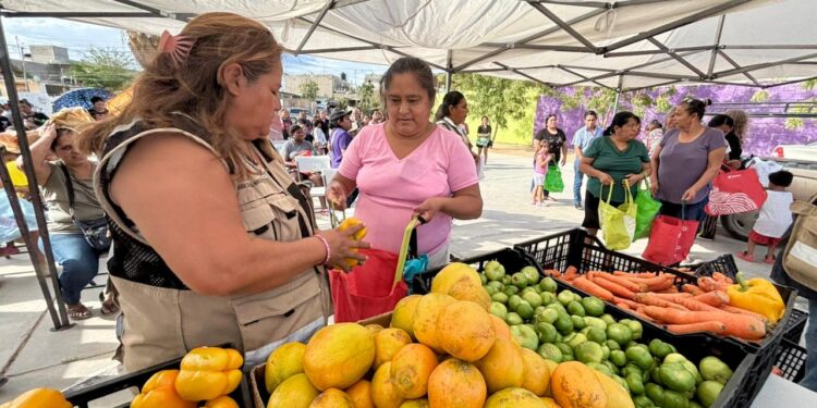 Apoyos alimentarios llegan a familias de Mesa Colorada 3 en Cabo San Lucas 