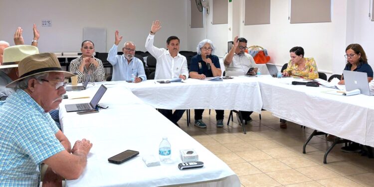 Avanza actualización del POEL Participativo para fortalecer ordenamiento territorial en Los Cabos