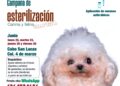 Instituto de Salud Municipal realiza jornada gratuita de esterilización canina y felina en Cabo San Lucas