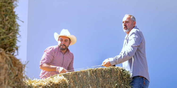Respalda Christian Agúndez al sector ganadero con apoyo a mil familias productoras de la zona rural