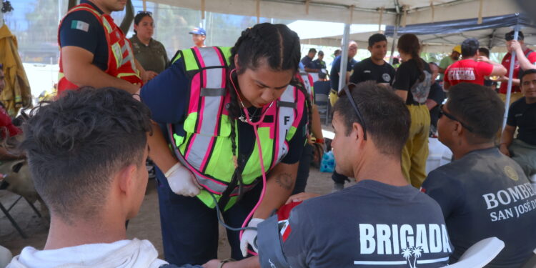 Con el apoyo interinstitucional, extinguen incendio en los palmares de Santa Rosa