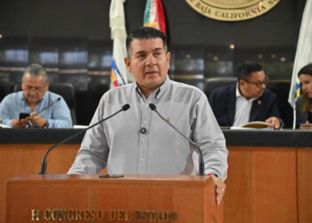 Proponen incorporar la materia de inglés en el marco normativo estatal