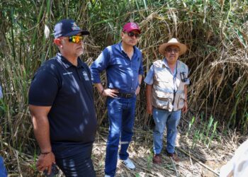 Inicia OOMSAPAS La Paz, obra sanitaria en Todos Santos 