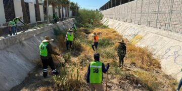 Refuerza Ayuntamiento de La Paz acciones preventivas con limpieza de arroyos y canales ante temporada de huracanes 2026