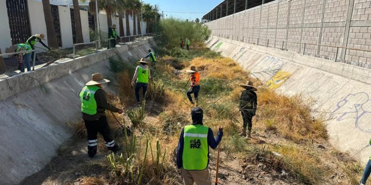 Refuerza Ayuntamiento de La Paz acciones preventivas con limpieza de arroyos y canales ante temporada de huracanes 2026
