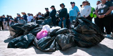 Recolectan más de 100 kilogramos de residuos en Macro Limpieza de playa El Comitán