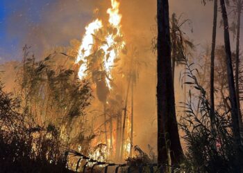 Cuerpos de emergencia intensifican labores de contención por incendio en El Palmar de Santa Rosa