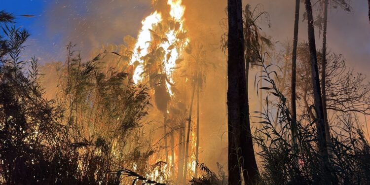 Cuerpos de emergencia intensifican labores de contención por incendio en El Palmar de Santa Rosa