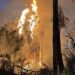 Cuerpos de emergencia intensifican labores de contención por incendio en El Palmar de Santa Rosa