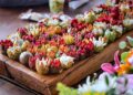 Avanzan preparativos para la Fiesta de la Pitahaya 2026; será el 18 y 19 de julio en Miraflores