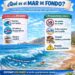 Llaman a respetar banderas de advertencia en playas de Los Cabos por condiciones de mar de fondo