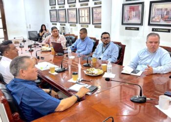 Con inversión superior a 38 MDP, Ayuntamiento de Los Cabos y CFE llevarán luz eléctrica a La Candelaria