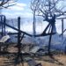 Incendio en basurero de Santiago fue controlado de manera oportuna por Bomberos de San José del Cabo