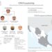 Estados Unidos lanza su mayor ofensiva financiera contra el CJNG; sanciona a más de 50 personas y empresas